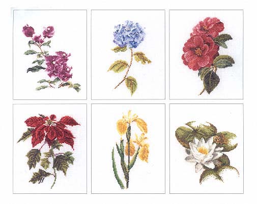 Flowers II - 6 Designs (Floral Study 7) - Linen