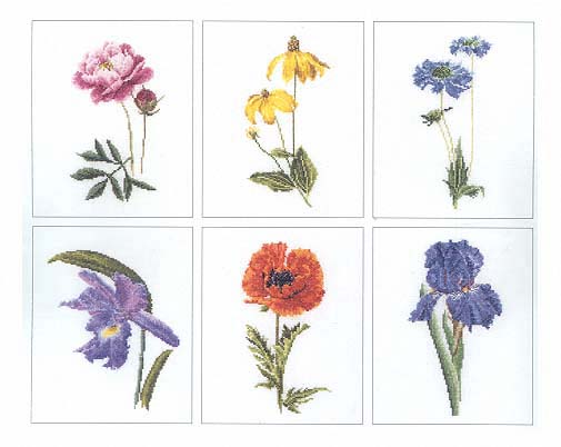 Flowers I - 6 Designs (Floral Study 5) - Linen