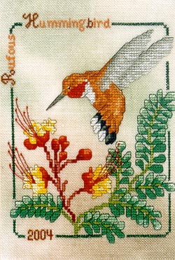 Rufous Hummingbird 2004