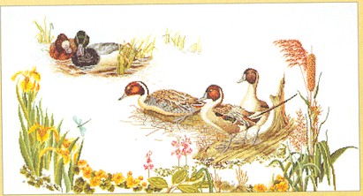 Ducks In The Marsh - White Aida