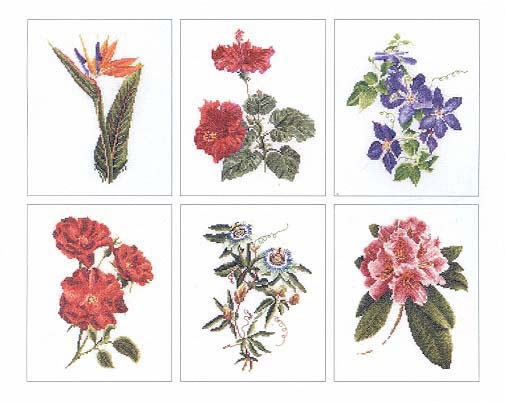 Flowers IV- 6 Designs (Floral Study 1) - Aida