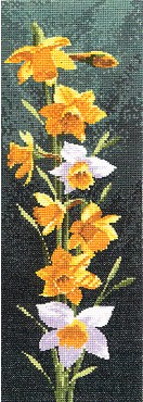 click here to view larger image of Daffodil Panel (counted cross stitch kit)