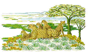 click here to view larger image of Cheetahs (chart)