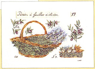 Basket of Lavender