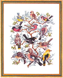 click here to view larger image of Bird Identification (counted cross stitch kit)
