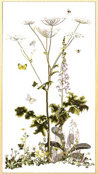 click here to view larger image of Queen Annes Lace (counted cross stitch kit)