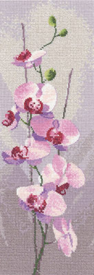 Orchid -  Flower Panel