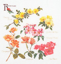 click here to view larger image of Rose Branches (counted cross stitch kit)