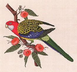 click here to view larger image of Rosella (chart)