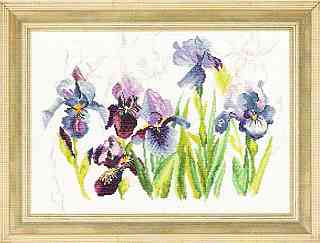 Blue Flowers - Iris