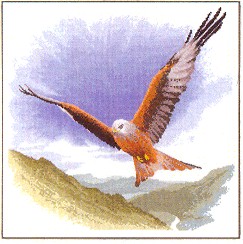 click here to view larger image of Red Kite in Flight - Flights of Fancy (chart only) (chart)