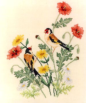 European Goldfinches