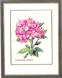 click here to view larger image of Pink Rhododendron (counted cross stitch kit)