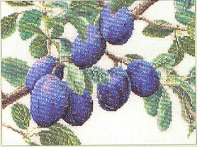Branch Of Plums
