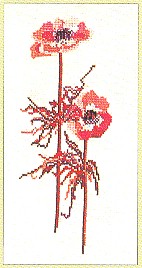 Floral Stem