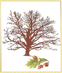 click here to view larger image of Oak Tree (counted cross stitch kit)