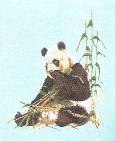 click here to view larger image of Panda Bear (counted cross stitch kit)