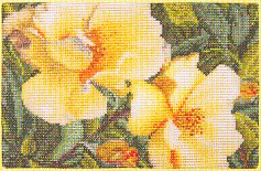 click here to view larger image of Rose Hugonis (counted cross stitch kit)