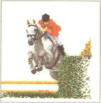 click here to view larger image of Show Jumping - Linen (counted cross stitch kit)