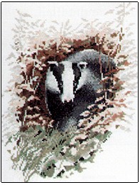 Badger - Wildlife Collection 