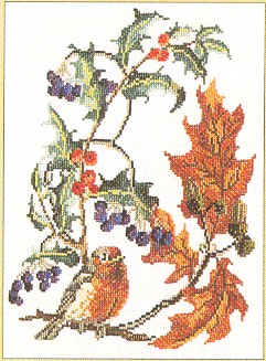 Bird With Branch-robin - Aida