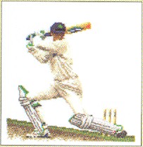 Cricket - Aida