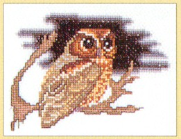 Owl - Aida