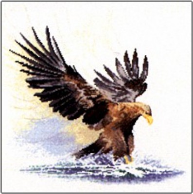 click here to view larger image of Eagle In Flight  (counted cross stitch kit)
