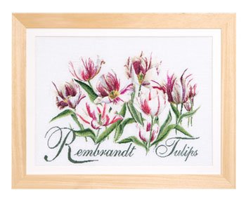 Rembrandt Tulips - Linen