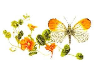click here to view larger image of Orange Tip Butterfly - Linen (counted cross stitch kit)