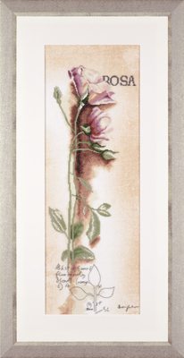 click here to view larger image of Rosa Botanical - 30ct (counted cross stitch kit)