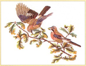 click here to view larger image of Birds on Branch (counted cross stitch kit)