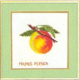 Fruit - Peaches
