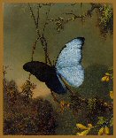 Butterfly - Heade - Great Masters Collection