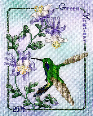 Green Violet-Ear Hummingbird  2006