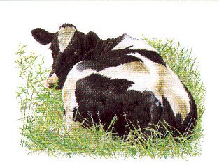 click here to view larger image of Holstein Cow Looking Back (linen) (counted cross stitch kit)