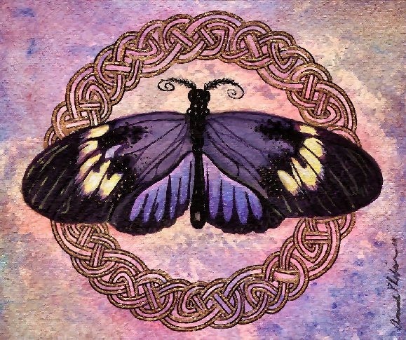 Celtic Butterfly 2