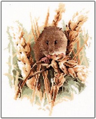 Harvest Mouse 