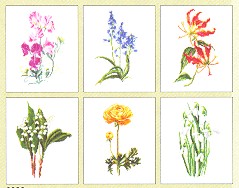 Six Floral Patterns (Floral Studies 6) - Aida