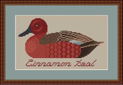 click here to view larger image of Cinnamon Teal (chart)